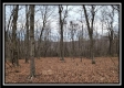 Tract 8 at Black Run property photo