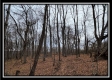 Tract 8 at Black Run property photo