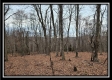 Tract 8 at Black Run property photo