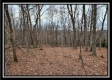 Tract 8 at Black Run property photo