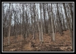 More of Tract 8 at Black Run