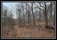 More of Tract 8 at Black Run