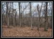 Tract 8 at Black Run property photo