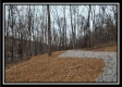 Tract 8 at Black Run property photo