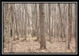 Tract 9 at Black Run property photo