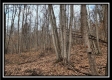 Tract 9 at Black Run property photo