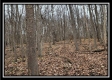 Tract 9 at Black Run property photo