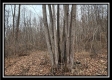 Tract 9 at Black Run property photo