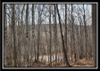 Tract 9 at Black Run property photo