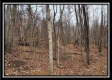 Tract 9 at Black Run property photo