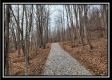 More of Tract 9 at Black Run