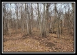 Tract 9 at Black Run property photo