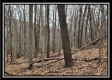 Tract 9 at Black Run property photo
