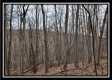 Tract 9 at Black Run property photo