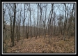 Tract 9 at Black Run property photo
