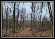 Tract 9 at Black Run property photo
