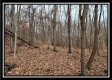 Tract 9 at Black Run property photo