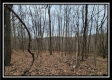 Tract 9 at Black Run property photo