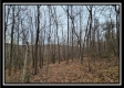 Tract 9 at Black Run property photo