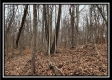 Tract 9 at Black Run property photo