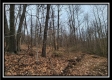 Tract 9 at Black Run property photo