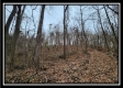 Tract 9 at Black Run property photo