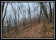 Tract 9 at Black Run property photo