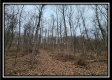 Tract 9 at Black Run property photo