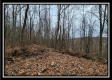 Tract 9 at Black Run property photo