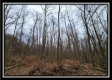 Tract 9 at Black Run property photo