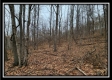 Tract 9 at Black Run property photo