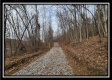 More of Tract 9 at Black Run