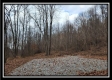 Tract 9 at Black Run property photo