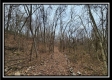 Tract 9 at Black Run property photo