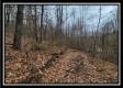 Tract 9 at Black Run property photo