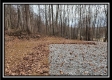 Tract 9 at Black Run property photo