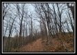 Tract 9 at Black Run property photo