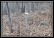 More of Tract 9 at Black Run