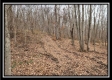 Tract 9 at Black Run property photo