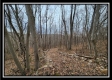 Tract 9 at Black Run property photo