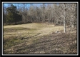 32317 Hampton Hollow Rd property photo