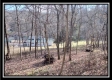 32317 Hampton Hollow Rd property photo