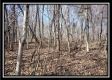 32317 Hampton Hollow Rd property photo