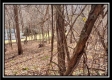 32317 Hampton Hollow Rd property photo