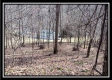 32317 Hampton Hollow Rd property photo