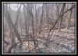 32317 Hampton Hollow Rd property photo
