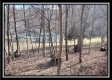 32317 Hampton Hollow Rd property photo