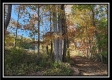 Tract 1 - Creek View property photo