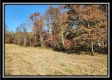 Tract 1 - Creek View property photo