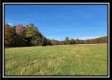 Tract 1 - Creek View property photo